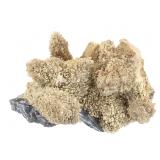 Quartz After Amethyst Minas Gerais Brazil 1Lb 2 oz