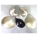 Polished Mother of Pearl Shells & 1 Other 3lbs TW