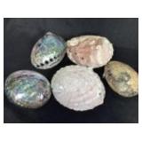 4 lb 13 oz - 5 Large Abalone Shells