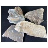 13lb 2oz Cut Fossilized Shell & Dinosaur Bone