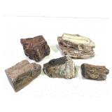 6 lb 15 oz - 5 Pieces of Petrified Wood