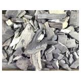 6lb 8oz Petrified Wood in Lignite