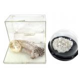 Calcite Cluster in Globe & Ramshorn Selenite 1 Lb+