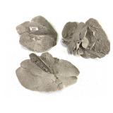 10lbs - 3 Large Selenite Crystals - Mexico