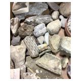 Mixed Fossils - Shells Coral Creatures 48lbs TW