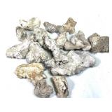 13lbs Agatized Coral Geodes