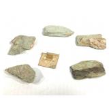 Australian Prase 1.2lb. TW