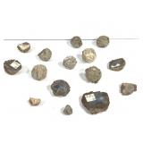 Oregon Thundereggs 2.7lb. TW