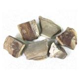 Wild Horse Picture Jasper 5.5lb. TW