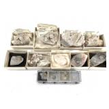 6 Corncob 3 Tabular 1 Pnt & 4 Quartz w Inclu 1 Lb+