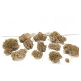 11 pcs Rose Selenite 5lbs. TW