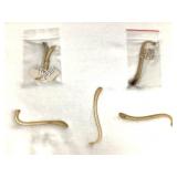 Collection of Raccoon Baculum Bones