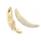 Porcelain & Genuine Dog Teeth