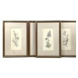 Sally Eckman Roberts 4 Signed Botanical Prints