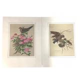 2 William Zimmerman Birds Lmtd Ed Col Prints IU