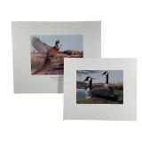 2 Ken Bucklew Duck & Game Bird Stamp Prints