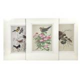 3 William Zimmerman Birds Lmtd Ed Col Prints IU