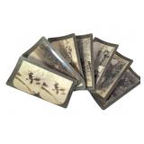 7 Keystone Stereoviews N.A. Groups S AF Penguins +