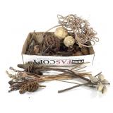 Natural Elements Teaching & Inspirational