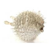 Puffer Fish Exoskeleton