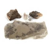 Mica Sheet Petrified Wood & Quartz Crystals