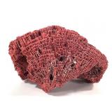 Red Pipe Organ Coral Specimen Tubipora musica