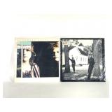 2 LPs Indigo Girls