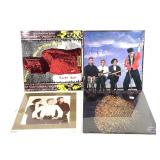 4 LPs N.O.S. Sealed Punk Virgin Prunes Cargo Cult