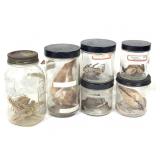 Aquatic Specimens w Jars 33 Pcs