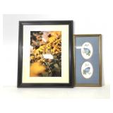 Framed Flower Photo & Watercolors