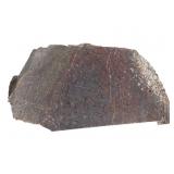 Dinosaur Gembone Slab
