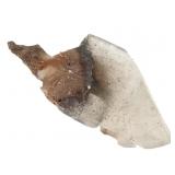 Phantom Selenite La Platosa MIne Durango MX 6 oz