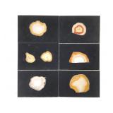 Polished Iris Agate Slabs in Blk Display Cards