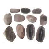 Fossil Nodules, Mazon Creek IL