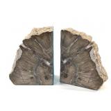 Polished Petrified Wood Bookends