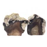 Bruneau Jasper w/ Orbs