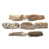Petrified Wood Specimens