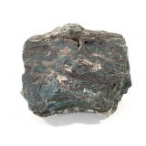 Hampton Butte Green Petrified Wood