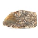 Translucent Petrified Palm Wood, Texas