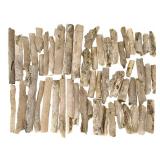 Petrified Reed & Rush Specimens, 40+