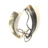 2 Modified Bull Horns