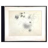 Itter Drawing Ink on Paper "Fraudent Garden"