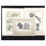 Itter Drawing Ink on Paper 3 Pcs