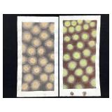 Wm Itter Pr Watercolor Study Paintings Circles