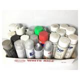 25+ Cans of Spray Paint