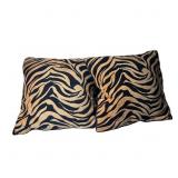 2 Decorative Pillows