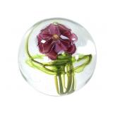 1981 Signed Karen Wolkoff Art Glass Paperweight