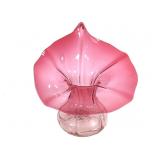Cranberry Jack - in - the - Pulpit Vase