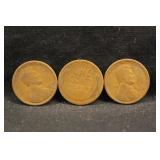 Lot of 3 1920-D Lincoln Wheat Cents