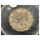 1922-D U.S. Silver Peace Dollar Paper weight